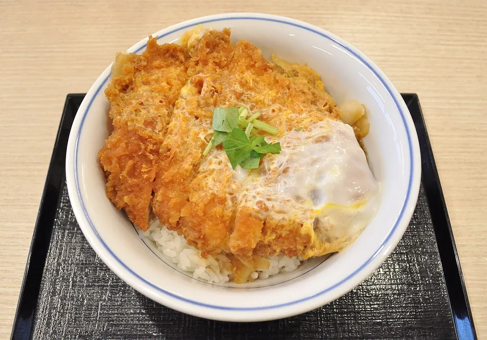 カツ丼の実写写真（卵とじカツ丼（清潔な器・上から撮影・盛り付け良好）。前回却下（料理下手）を踏まえ、見栄えの良い一枚に差し替え）