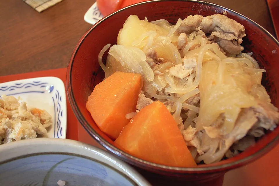 肉じゃがの実写写真（現行型の肉じゃが（牛肉・じゃがいも・玉ねぎの甘辛煮）完成皿。日本の家庭料理として一般的な姿。東郷起源説(D/俗説)を補強しない中立な完成皿。）