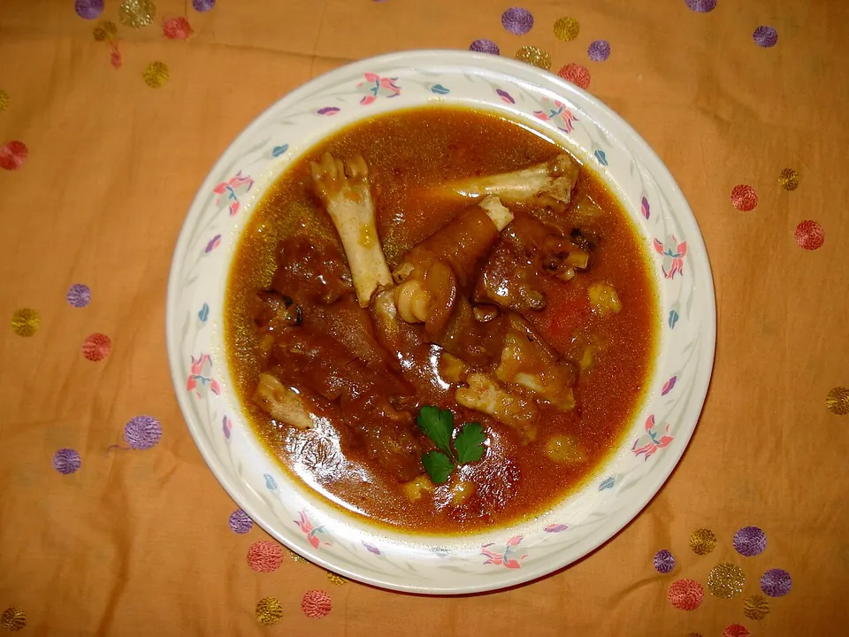 パヤの実写写真（ラホール（Phajjay Ke Paye）の脚のカレー煮込み=paya。dishのラホール/朝食の煮込み(ナーリ・パヤ)に一致。羊/牛/山羊の脚のトロトロ煮込み(腱・骨・ゼラチン化スープ)が明瞭に見える完成皿。確度D起源説を補強しない中立な完成皿）