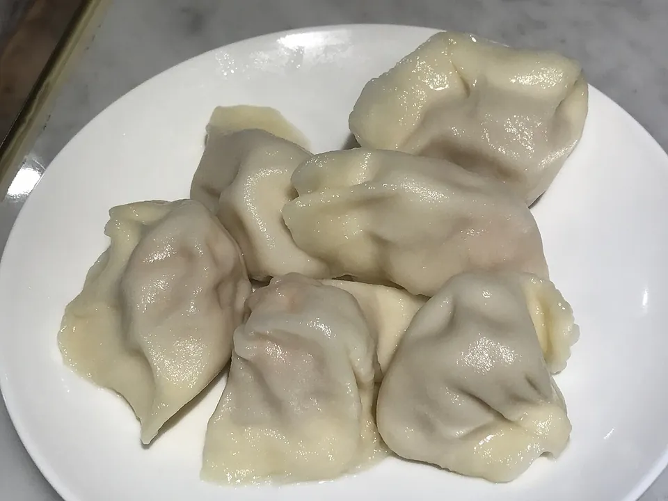 餃子の実写写真（中国式の水餃子（茹で餃子）の完成皿。無発酵皮の包み茹で系＝餃子の最も代表的な現行形。日本のgyoza（焼き）でなく中国の水餃子を選択。CC BY 2.0。）