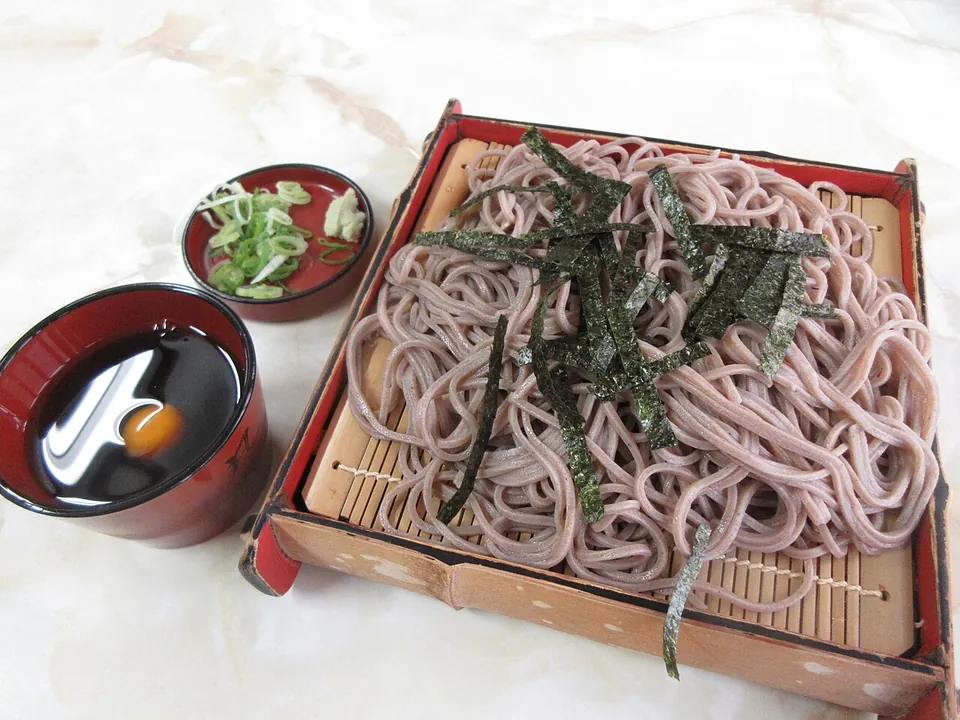 そばの実写写真（ざるそば（海苔・つゆ・薬味）。蕎麦の麺の色・質感が明瞭な代表的な提供形。）