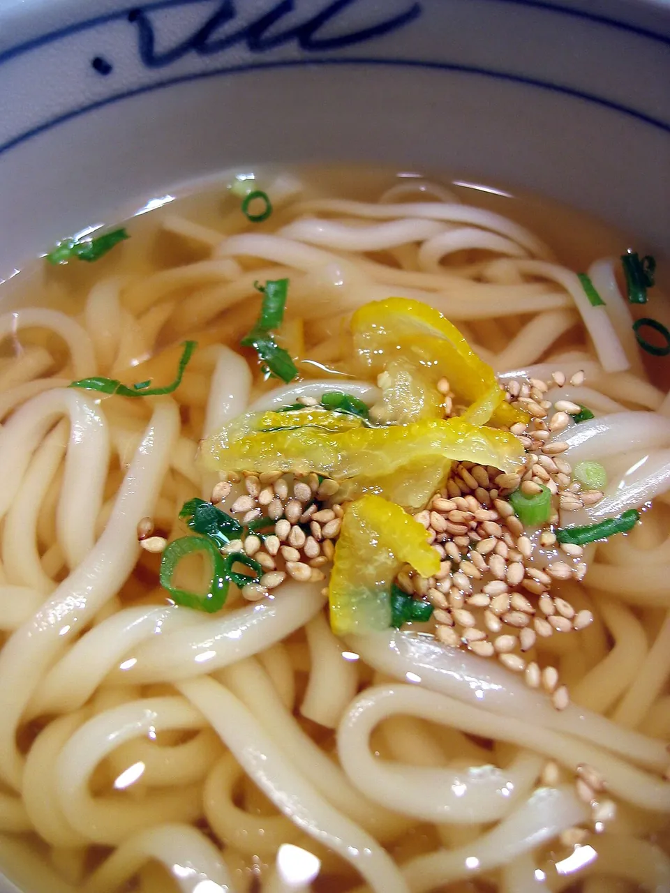 うどんの実写写真（かけうどん（温かいだし・刻みネギ・ごま・柚子皮）。太い麺の質感が明瞭な基本形。）